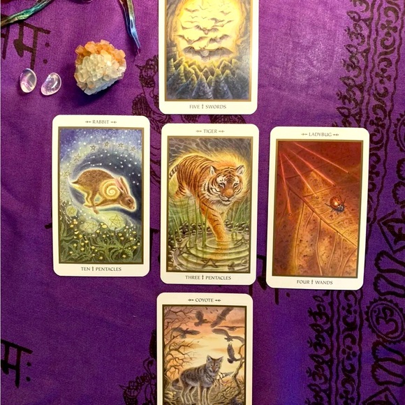 SOLD! Animals Divine Tarot Set Lisa Hunt RARE OOP 1st Edition 2nd Printing 2005 - Picture 3 of 8